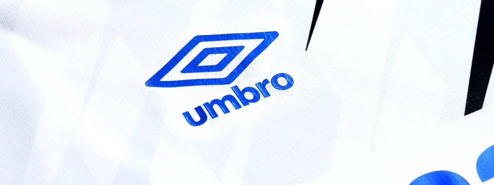 gamba-osaka-21-22-away-kit-chest-shot